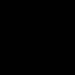 Meet your Posher, Olayemi